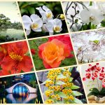 Thành lập doanh nghiệp tư nhân tại Thị xã Thuận An 6 Muốn thành lập doanh nghiệp tư nhân tại Thị xã Thuận An