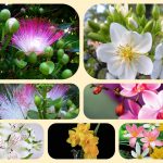 Thành lập doanh nghiệp tư nhân tại Thừa Thiên Huế 7 Muốn thành lập doanh nghiệp tư nhân Thừa Thiên Huế