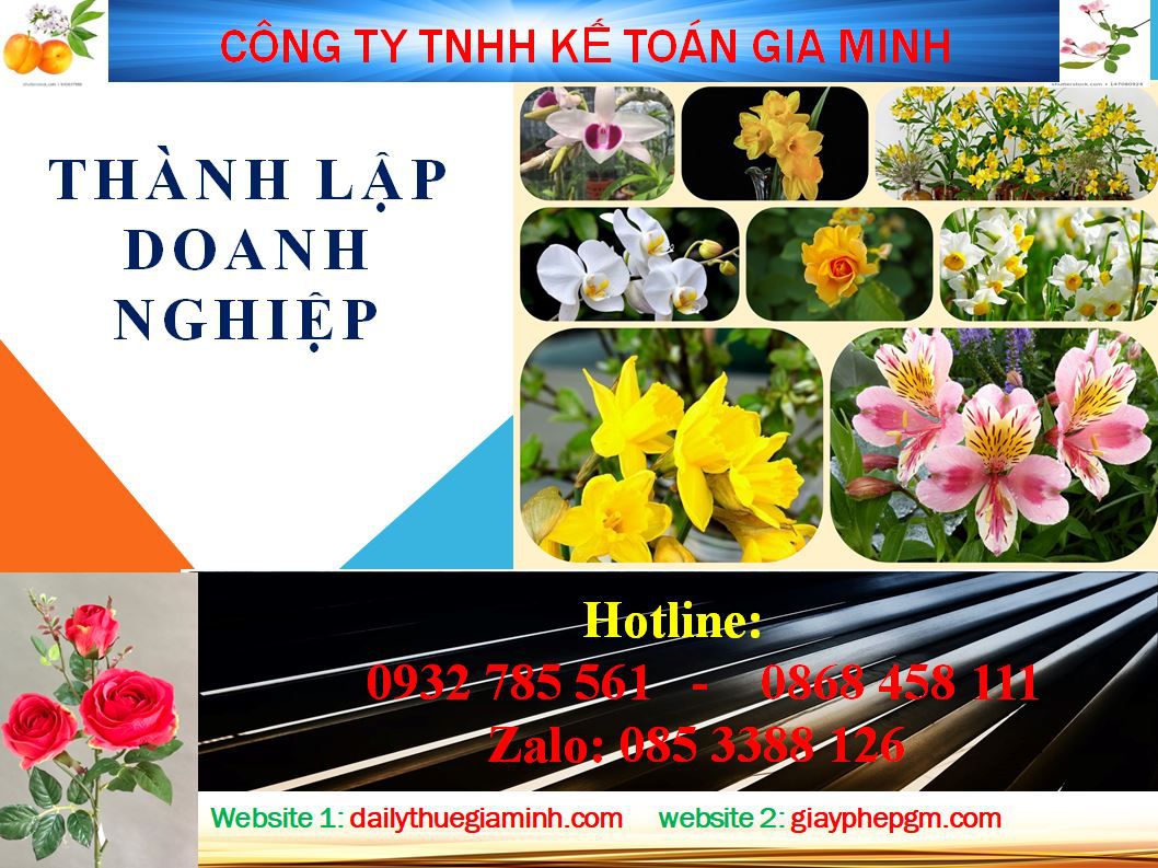 Thành lập doanh nghiệp tư nhân tại TP Hồ Chí Minh 4 Thủ tục thành lập doanh nghiệp tư nhân tại TP Hồ Chí Minh