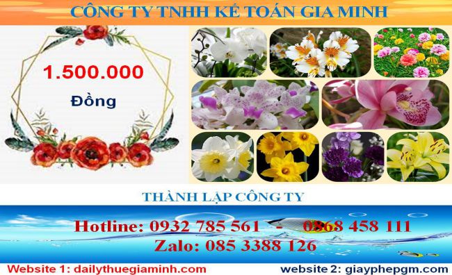 Chi phí thành lập doanh nghiệp tư nhân tại Vĩnh Phúc
