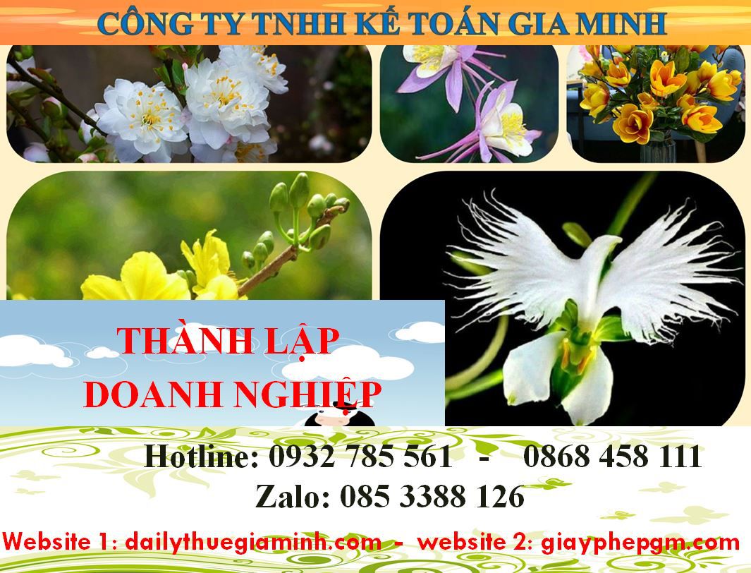Thành lập doanh nghiệp tư nhân tại Vĩnh Phúc 1 Thủ tục thành lập doanh nghiệp tư nhân tại Vĩnh Phúc