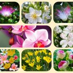 Thành lập doanh nghiệp tư nhân tại Vĩnh Phúc 7 Muốn thành lập doanh nghiệp tư nhân Vĩnh Phúc