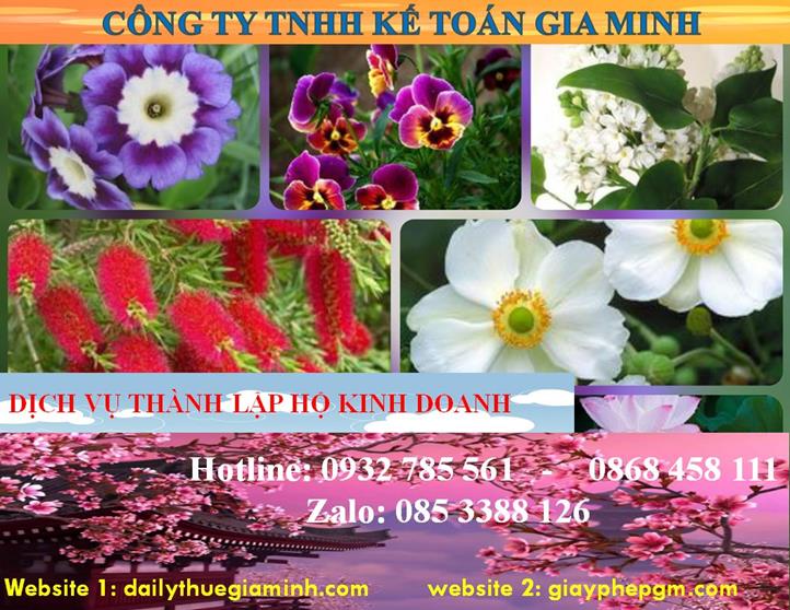 Thành lập hộ kinh doanh tại Bắc Giang 4 Thủ tục thành lập hộ kinh doanh tại Bắc Giang