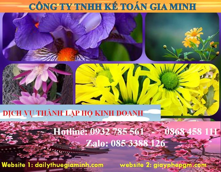 Thành lập hộ kinh doanh tại Bến Tre 4 Thủ tục thành lập hộ kinh doanh tại Bến Tre