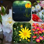 Thành lập hộ kinh doanh tại Bến Tre 6 Muốn thành lập hộ kinh doanh tại Bến Tre