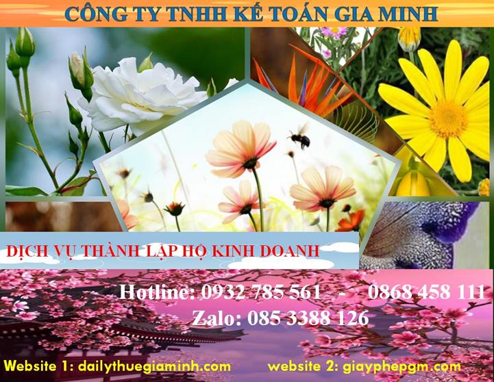 Thành lập hộ kinh doanh tại Bình Định 4 Thủ tục thành lập hộ kinh doanh tại Bình Định