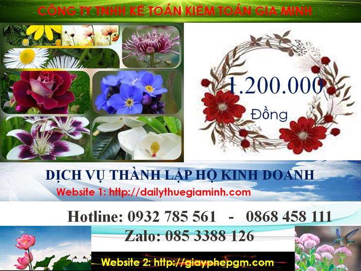Thành lập hộ kinh doanh tại Bình Định 5 Chi phí thành lập hộ kinh doanh tại Bình Định