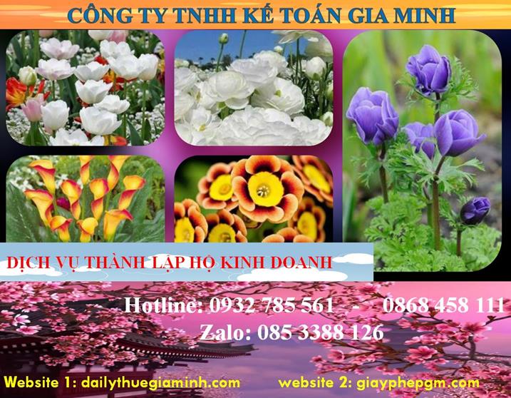 Thành lập hộ kinh doanh tại Cao Bằng 4 Thủ tục thành lập hộ kinh doanh tại Cao Bằng