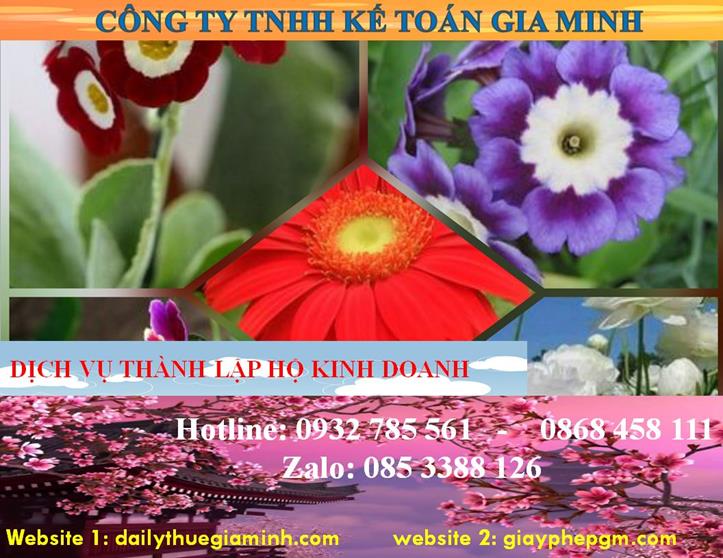 Thành lập hộ kinh doanh tại Điện Biên 4 Thủ tục thành lập hộ kinh doanh tại Điện Biên
