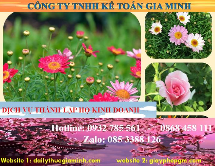Thành lập hộ kinh doanh tại Đồng Tháp 4 Thủ tục thành lập hộ kinh doanh tại Đồng Tháp