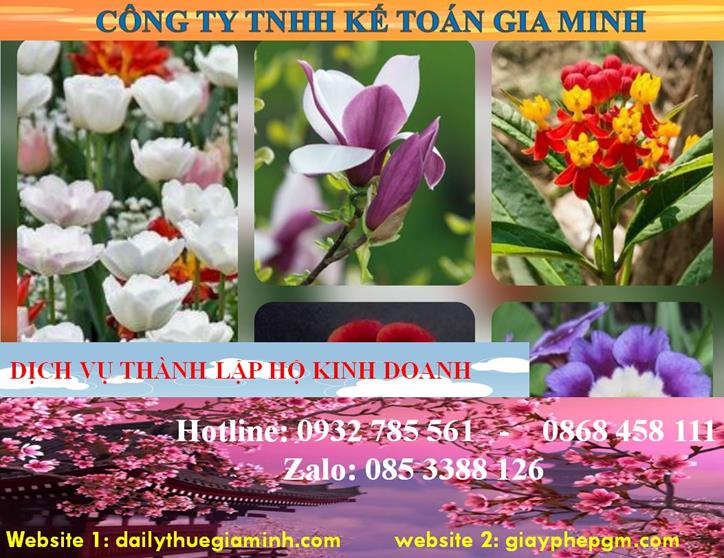 Thành lập hộ kinh doanh tại Hà Giang 4 Thủ tục thành lập hộ kinh doanh tại Hà Giang