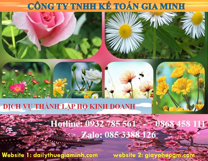 Thành lập hộ kinh doanh tại Hải Phòng 4 Thủ tục thành lập hộ kinh doanh tại Hải Phòng
