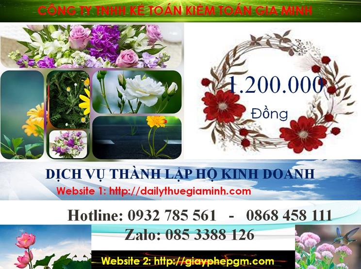 Thành lập hộ kinh doanh tại Hải Phòng 5 Chi phí thành lập hộ kinh doanh tại Hải Phòng