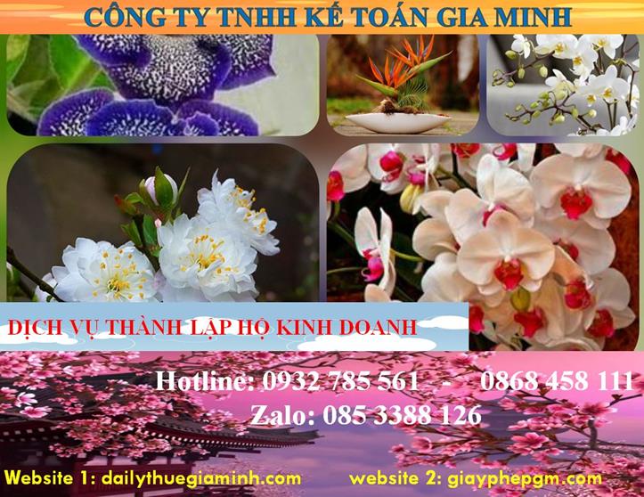 Thành lập hộ kinh doanh tại Hòa Bình 4 Thủ tục thành lập hộ kinh doanh tại Hòa Bình