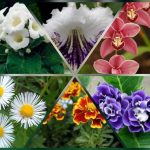 Thành lập hộ kinh doanh tại Hòa Bình 6 Muốn thành lập hộ kinh doanh tại Hòa Bình