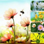 Thành lập hộ kinh doanh tại Huyện Củ Chi 6 Cần thành lập hộ kinh doanh tại Huyện Củ Chi