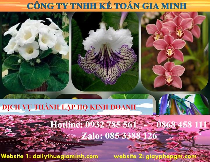 Thành lập hộ kinh doanh tại Khánh Hòa 4 Thủ tục thành lập hộ kinh doanh tại Khánh Hòa