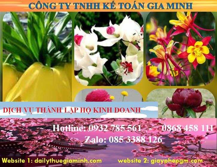 Thành lập hộ kinh doanh tại Kiên Giang 4 Thủ tục thành lập hộ kinh doanh tại Kiên Giang