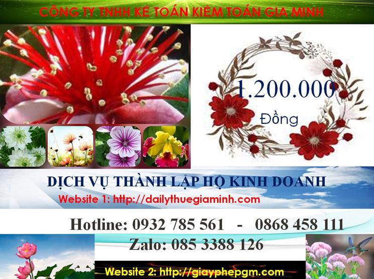Thành lập hộ kinh doanh tại Kiên Giang 5 Chi phí hành lập hộ kinh doanh tại Kiên Giang