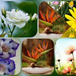 Thành lập hộ kinh doanh tại Lạng Sơn 6 Muốn thành lập hộ kinh doanh tại Lạng Sơn