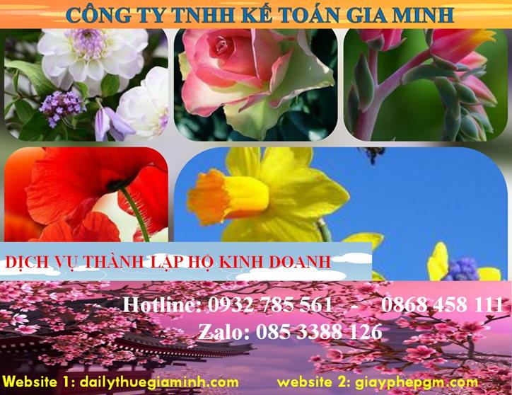 Chi phí thành lập hộ kinh doanh tại Lào Cai