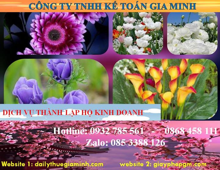 Thành lập hộ kinh doanh tại Nam Định 4 Chi phí thành lập hộ kinh doanh tại Nam Định