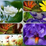 Thành lập hộ kinh doanh tại Nam Định 6 Muốn thành lập hộ kinh doanh tại Nam Định