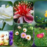 Thành lập hộ kinh doanh tại Phú Thọ 6 Muốn thành lập hộ kinh doanh tại Phú Thọ