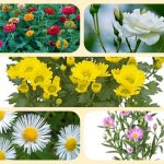 Thành lập hộ kinh doanh tại Quận Phú Nhuận 6 Cần thành lập hộ kinh doanh tại Quận Phú Nhuận