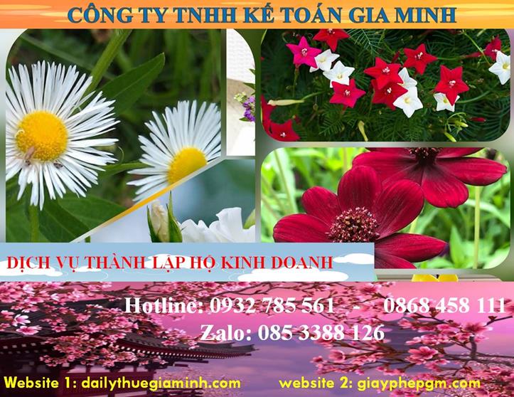 Thành lập hộ kinh doanh tại Quảng Nam 4 Thủ tục thành lập hộ kinh doanh tại Quảng Nam