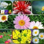Thành lập hộ kinh doanh tại Quảng Nam 6 Muốn thành lập hộ kinh doanh tại Quảng Nam