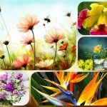 Thành lập hộ kinh doanh tại Quảng Ninh 6 Muốn thành lập hộ kinh doanh tại Quảng Ninh