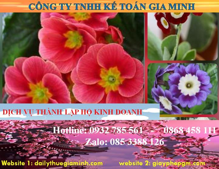 Thành lập hộ kinh doanh tại Thừa Thiên Huế 4 Thủ tục thành lập hộ kinh doanh tại Thừa Thiên Huế