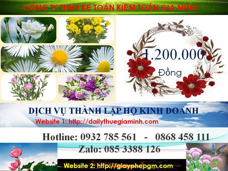Thành lập hộ kinh doanh tại Thừa Thiên Huế 5 Chi phí hành lập hộ kinh doanh tại Thừa Thiên Huế