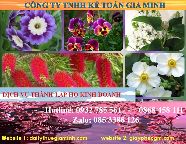 Thủ tục thành lập hộ kinh doanh tại Tiền Giang
