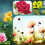 Thành lập hộ kinh doanh tại TP Hồ Chí Minh 6 Cần thành lập hộ kinh doanh tại TP Hồ Chí Minh