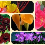 Thay đổi đăng ký kinh doanh tại Cần Thơ 6 Muốn thay đổi đăng ký kinh doanh ở Cần Thơ