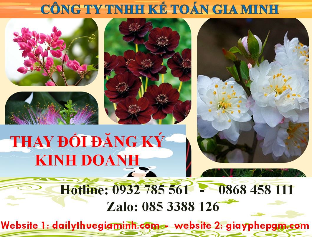 Thay đổi đăng ký kinh doanh tại Cần Thơ 4 Dịch vụ thay đổi đăng ký kinh doanh ở Cần Thơ
