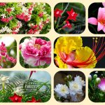 Thay đổi đăng ký kinh doanh tại Hà Nội 6 Muốn thay đổi đăng ký kinh doanh ở Hà Nội