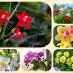 Thay đổi đăng ký kinh doanh tại Huế 6 Muốn thay đổi đăng ký kinh doanh ở Huế
