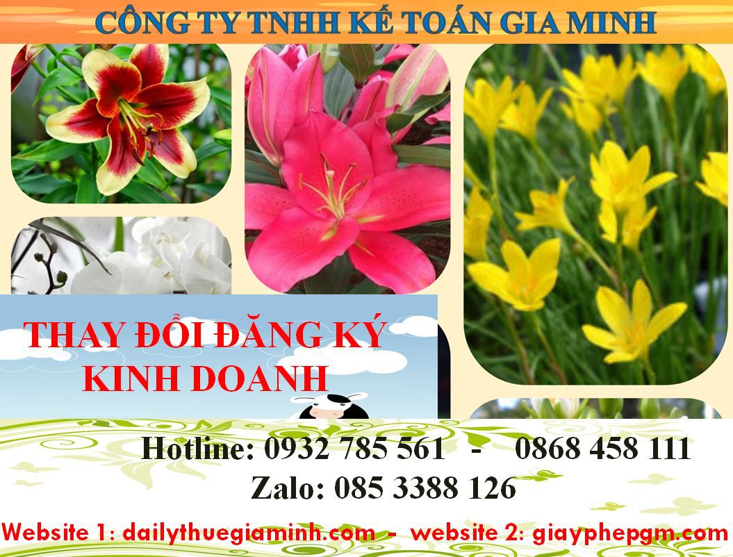 Thay đổi đăng ký kinh doanh tại Huế 4 Dịch vụ thay đổi đăng ký kinh doanh ở Huế