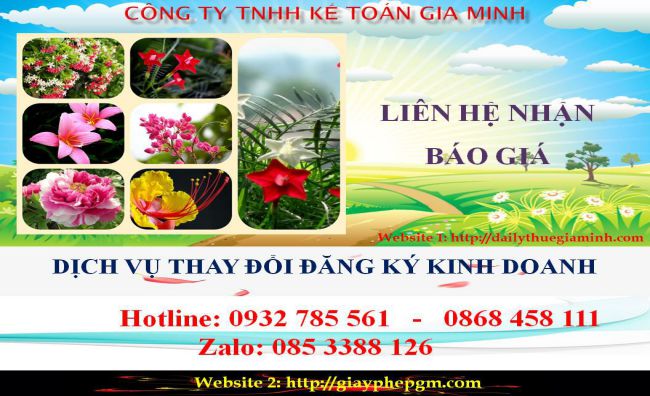Thay đổi đăng ký kinh doanh tại Lào Cai 5 Chi phí thay đổi đăng ký kinh doanh ở Lào Cai