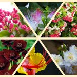 Thay đổi đăng ký kinh doanh tại Lào Cai 6 Muốn thay đổi đăng ký kinh doanh ở Lào Cai