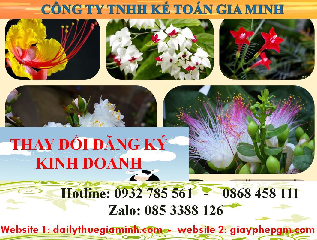 Thay đổi đăng ký kinh doanh tại Lào Cai 4 Dịch vụ thay đổi đăng ký kinh doanh ở Lào Cai