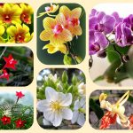 Thay đổi đăng ký kinh doanh tại Phú Thọ 6 Muốn thay đổi đăng ký kinh doanh ở Phú Thọ