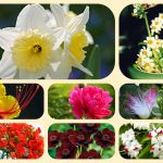 Thay đổi đăng ký kinh doanh tại Quận Phú Nhuận 6 Muốn thay đổi đăng ký kinh doanh ở Quận Phú Nhuận
