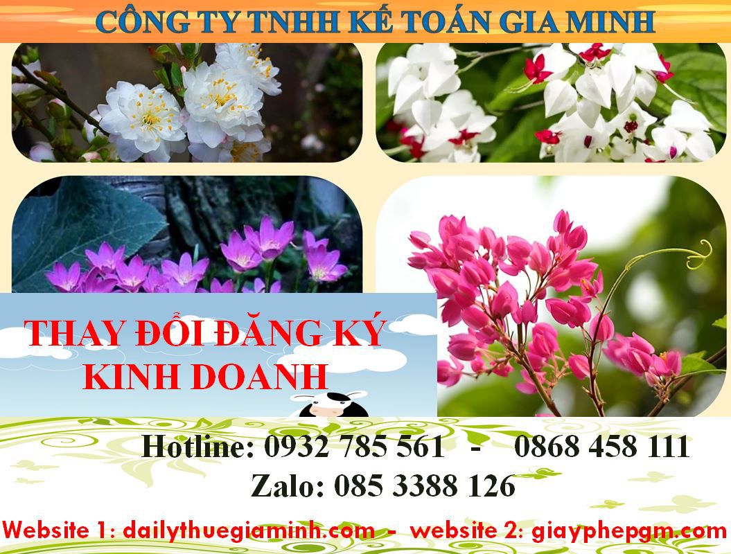 Thay đổi đăng ký kinh doanh tại Thành phố Hồ Chí Minh 4 Dịch vụ thay đổi đăng ký kinh doanh ở Thành phố Hồ Chí Minh