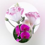 Muốn tạm ngừng kinh doanh tại Huyện Bình Chánh