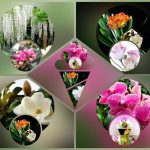 Trình tự thủ tục tạm ngừng kinh doanh tại Quận Bắc Từ Liêm 6 Muốn tạm ngừng kinh doanh tại Quận Bắc Từ Liêm