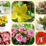 Dịch vụ mở nhà thuốc đạt GPP tại Bắc Kạn 6 Muốn mở nhà thuốc đạt GPP tại Bắc Kạn